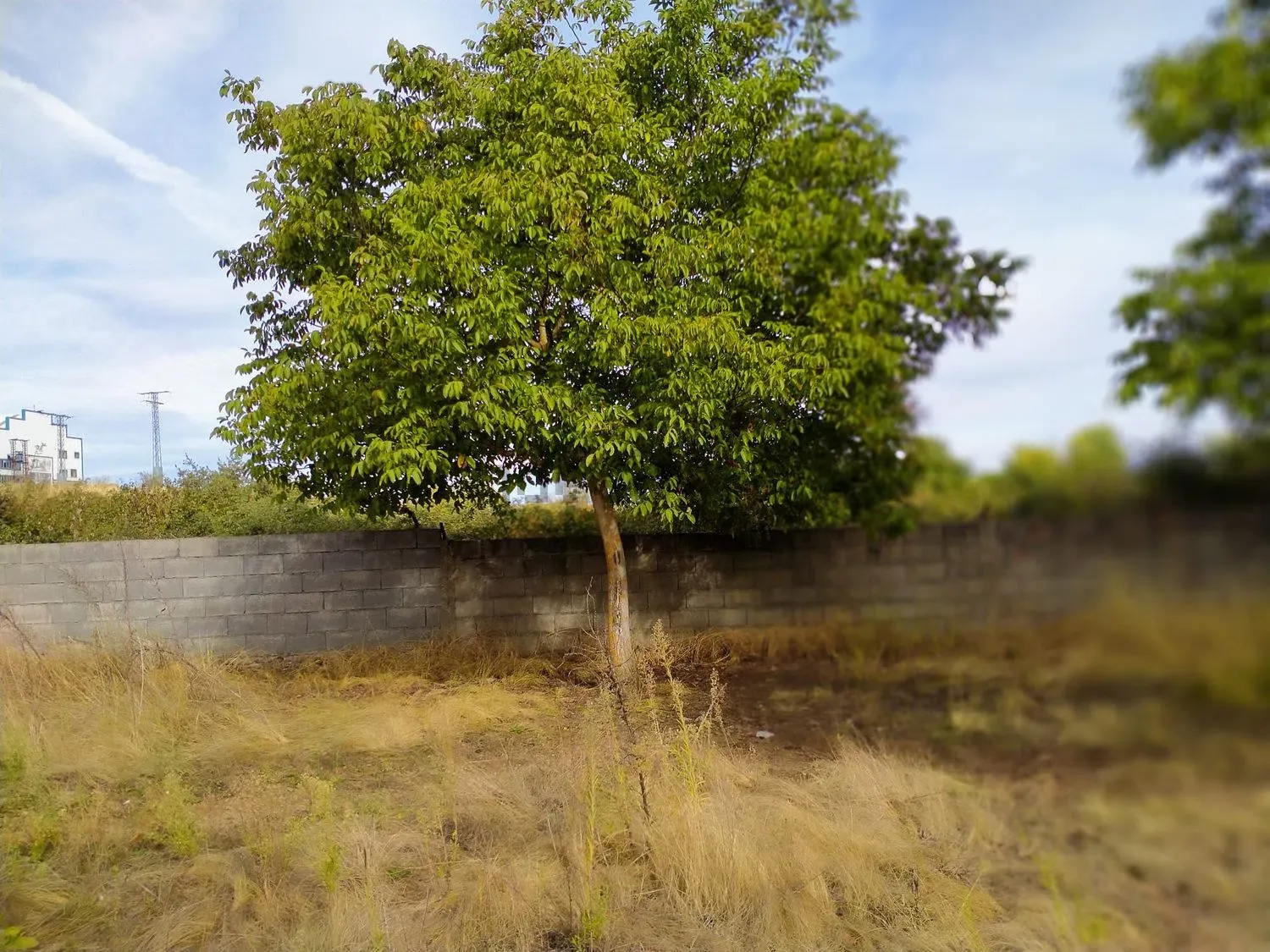 Terreno en venta en Flores del Sil